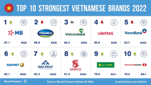 Xếp hạng giá trị thương hiệu mạnh của Top 10 thương hiệu Việt Nam 2022
