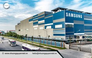 Samsung nhận định Việt Nam nhà sản xuất toàn cầu của thương hiệu