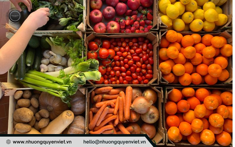 Xuất khẩu rau quả Việt Nam sang thị trường châu Âu cũng đang tăng mạnh